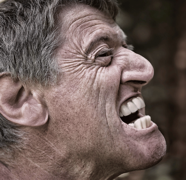 Nariz torto ou grande, O charme do imperfeito, Tribo da conquista Capa Web Stories